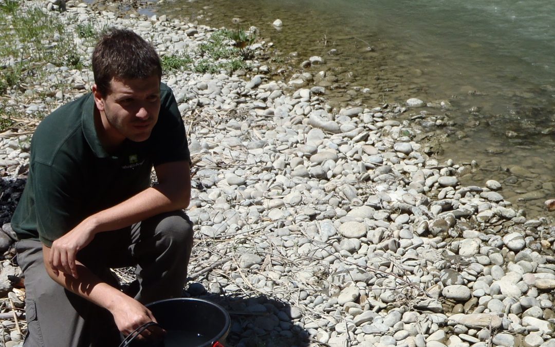 La Universidad San Jorge crea una nueva metodología para conocer la evolución de las temperaturas en los ríos ante el cambio climático