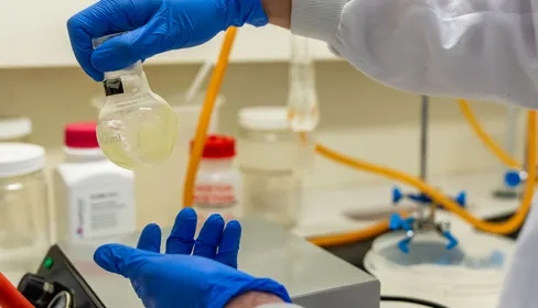 Doctorado en Ciencias de la Salud