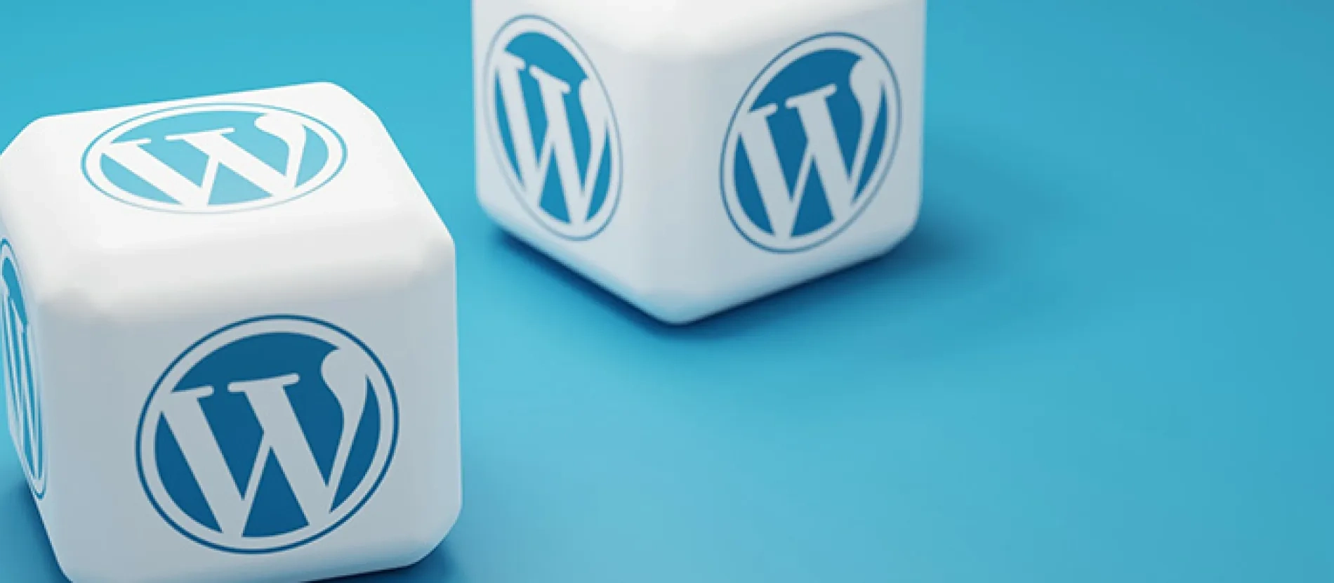 Curso de wordpress