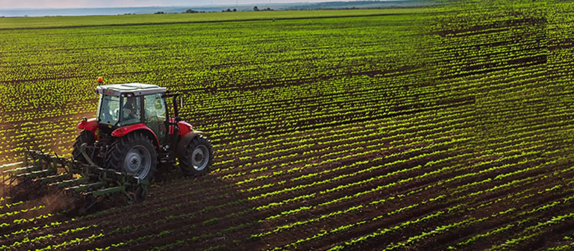 Microcredencial Tecnología, producción y calidad en la empresa agroalimentaria 