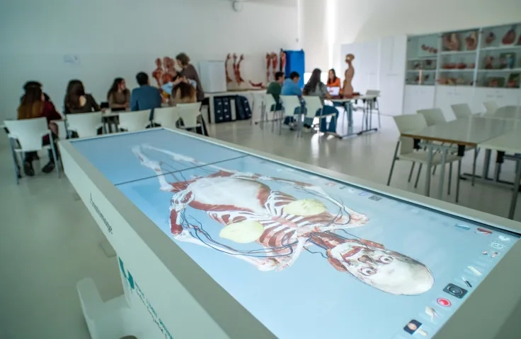 TALLER DE   ANATOMÍA Y FISIOLOGÍA