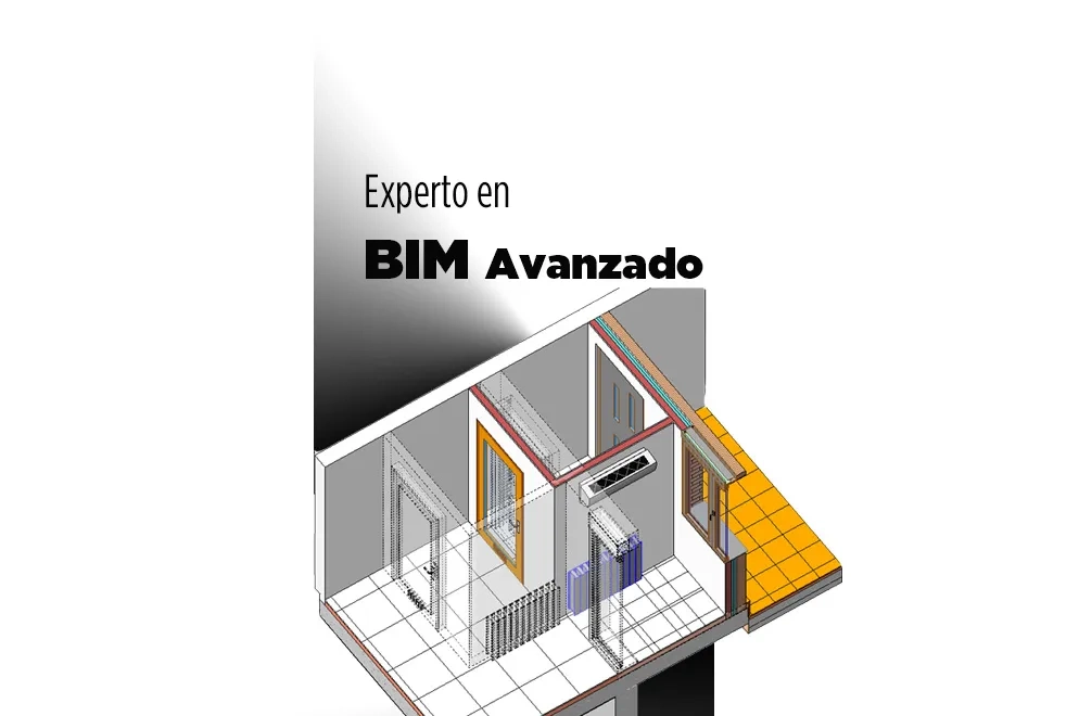 Experto en BIM Avanzado