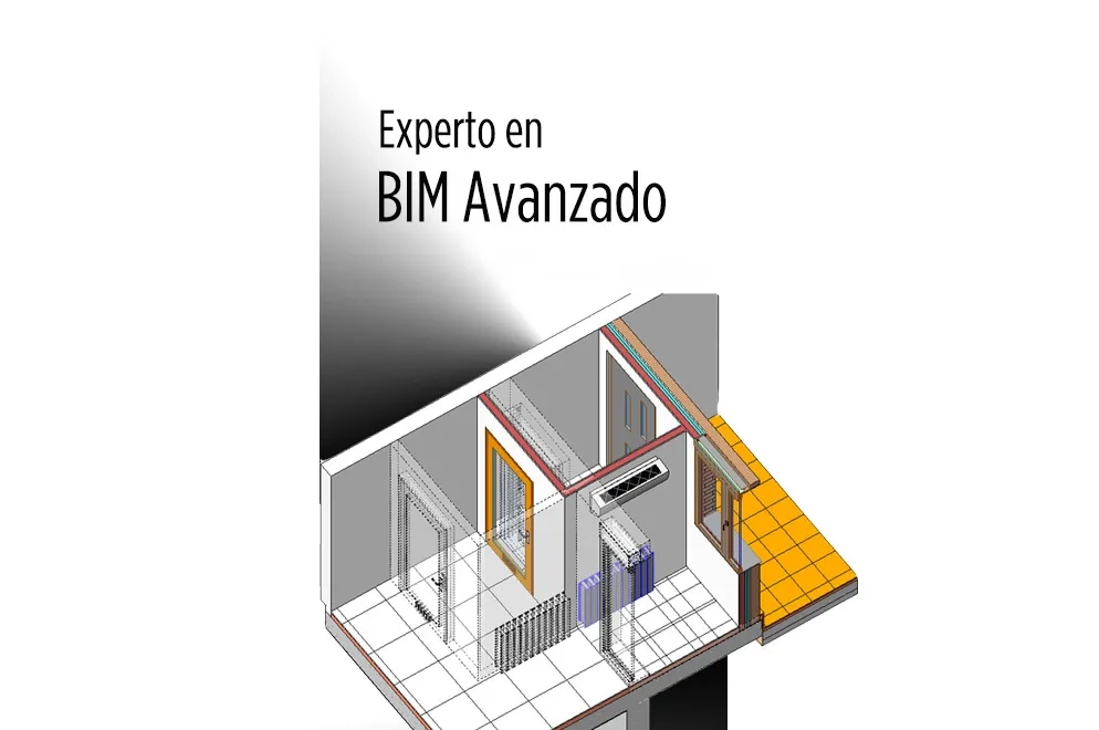 Experto en BIM Avanzado